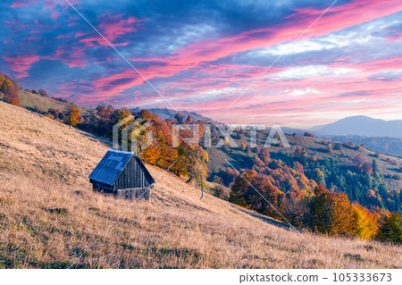 Old wooden cabin on autumn meadow during sunset 105333673
