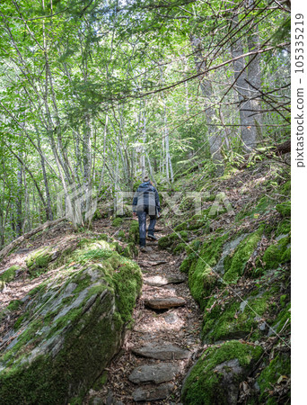 Girl hiking at Lake Ragnerudssjoen in Dalsland Sweden beautiful nature forest pinetree swedish 105335219