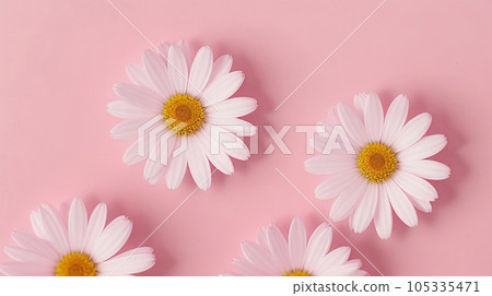 daisy flowers with light pink paper background good for multimedia digital content creation, artistic background 105335471