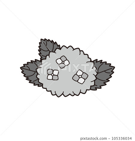 繡球花插圖單色 繡球花插圖單色 105336034