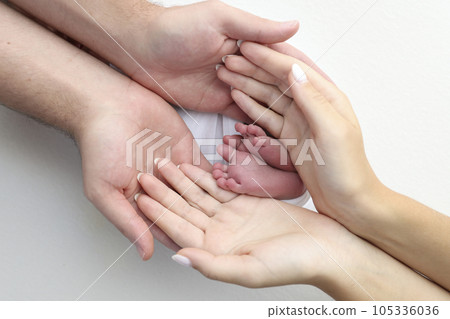 The palms of the father, the mother are holding the foot of the newborn baby on white background. Feet of the newborn on the palms of the parents. Photography of a child's toes, heels and feet. 105336036
