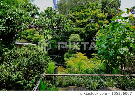 東京都練馬區向山庭園 105336067