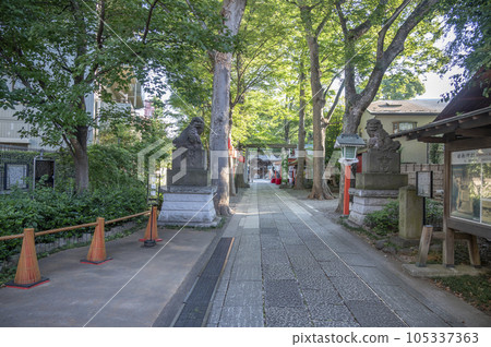 Tanashi Shrine Ryujin no Michi 105337363