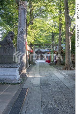 Tanashi Shrine Ryujin no Michi 105337364