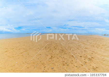 View of the sand path of Coroa Vermelha beach 105337704