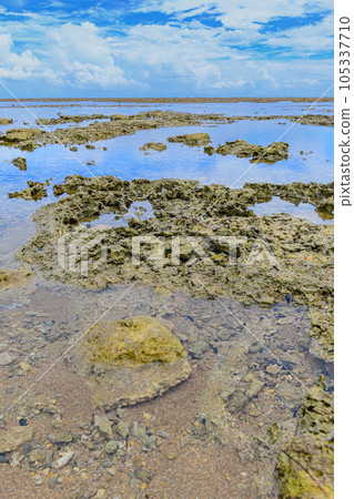Reefs of Coroa Vermelha beach, Bahia Reefs of Coroa Vermelha beach, Bahia 105337710