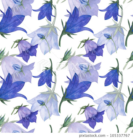 Seamless pattern with bluebell, spreading bellflower flowers Campanula patula, little bell, rapunzel, harebell . Watercolor hand painting illustration on isolate white background. 105337767