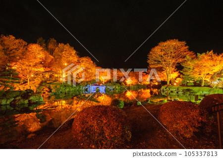 紅葉燈火通明/日本庭園 紅葉燈火通明/日本庭園 105337813