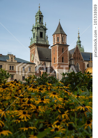Summer view of Wawel Royal Castle in Krakow, Poland. Historical place in Poland. Flowers on foreground. Beautiful sightseeing with Wawel Royal Castle and colorful flowers in Krakow, Poland 105338989