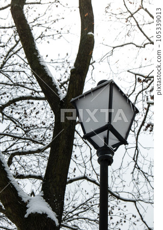Lantern Street Lamp in winter park at freezing cold day. Walking path in city park with bare trees covered with white snow. Winter scene Lantern Street Lamp in winter park at freezing cold day. Walking path in city park with bare trees covered with white snow. Winter scene 105339013