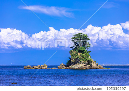 夏天陽光明媚的海灘 105339297