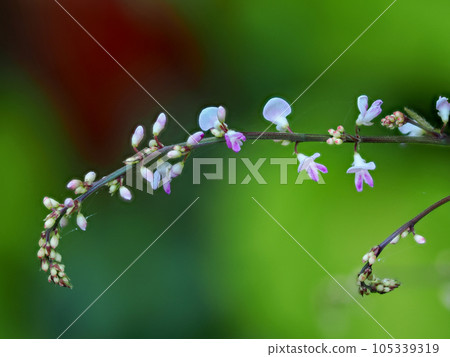 與 Nusubitohagi 的風景 與 Nusubitohagi 的風景 105339319