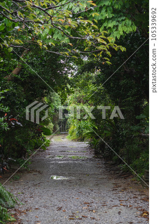 沖繩縣讀谷村北釜 105339692