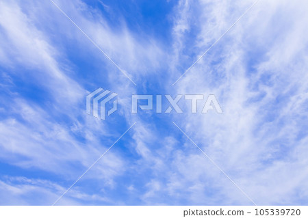 觸鬚 觸鬚 105339720