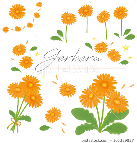 非洲菊橙色手繪水彩集矢量 非洲菊橙色手繪水彩集矢量 105339837