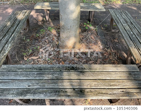 A decaying wooden bench and sunlight filtering through the trees in summer A decaying wooden bench and sunlight filtering through the trees in summer 105340306