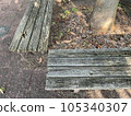 A decaying wooden bench and sunlight filtering through the trees in summer 105340307