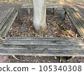 A decaying wooden bench and sunlight filtering through the trees in summer 105340308