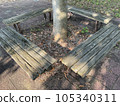A decaying wooden bench and sunlight filtering through the trees in summer 105340311
