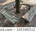 A decaying wooden bench and sunlight filtering through the trees in summer 105340312