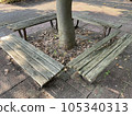 A decaying wooden bench and sunlight filtering through the trees in summer 105340313