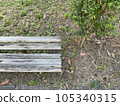 A decaying wooden bench and sunlight filtering through the trees in summer 105340315