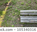A decaying wooden bench and sunlight filtering through the trees in summer 105340316