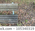 A decaying wooden bench and sunlight filtering through the trees in summer 105340319