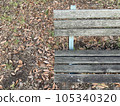 A decaying wooden bench and sunlight filtering through the trees in summer 105340320