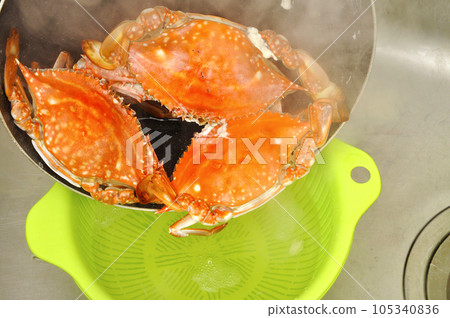 Boiled migratory crab Boiled migratory crab 105340836