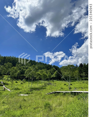 Summer sky and fresh highland marsh Summer sky and fresh highland marsh 105340943