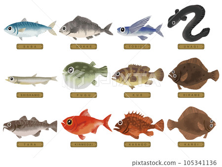 各種魚插圖2 105341136
