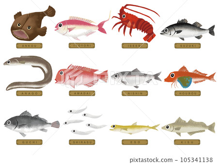 Various fish illustrations 4 Various fish illustrations 4 105341138