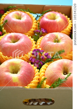 beautiful pink apple in the box on blue background 105341320