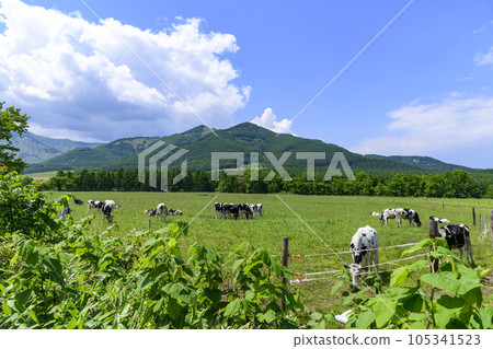 View of Tokachi Plain from Shimizu Maruyama Observatory View of Tokachi Plain from Shimizu Maruyama Observatory 105341523
