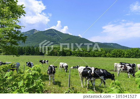 從清水丸山展望台眺望十勝平原 105341527