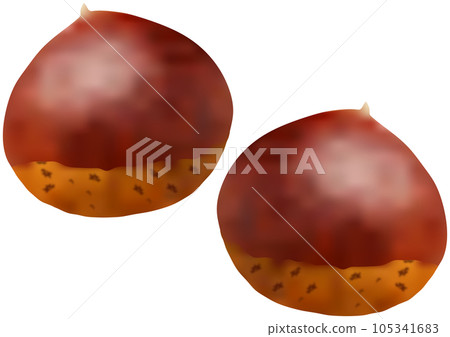 Two chestnut nuts Two chestnut nuts 105341683