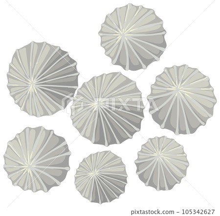 Isolated limpet simple cartoon 105342627