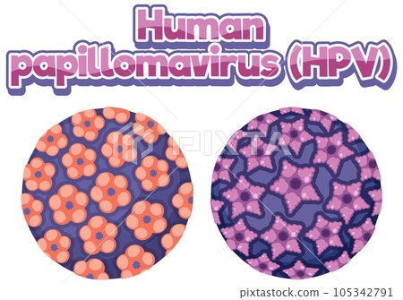 Human papillomavirus (HPV) on white background 105342791