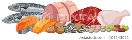 Assorted Meat and Seafood Vector for Menu Design Assorted Meat and Seafood Vector for Menu Design 105343021