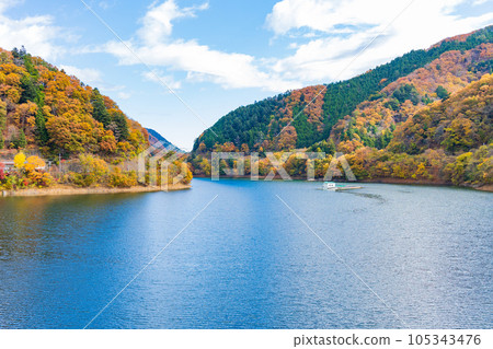 奧多摩，東京奧多摩湖與秋葉 105343476