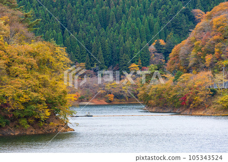 奧多摩，東京奧多摩湖與秋葉 105343524