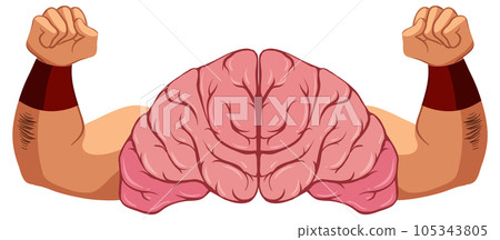 Brain with Strong Arms Vector Brain with Strong Arms Vector 105343805