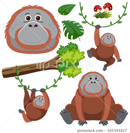 Set of orangutan cartoon character Set of orangutan cartoon character 105343827