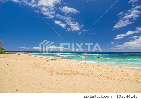 【夏威夷絕景自駕】歐胡島、東海岸、桑迪桃子 【夏威夷絕景自駕】歐胡島、東海岸、桑迪桃子 105344143