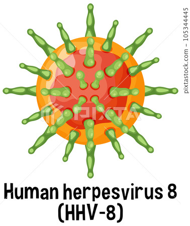 Human herpesvirus 8 (HHV 8) with text 105344445