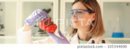 Scientist chemist in gloves and protective glasses holding tomatoes in laboratory Scientist chemist in gloves and protective glasses holding tomatoes in laboratory 105344690
