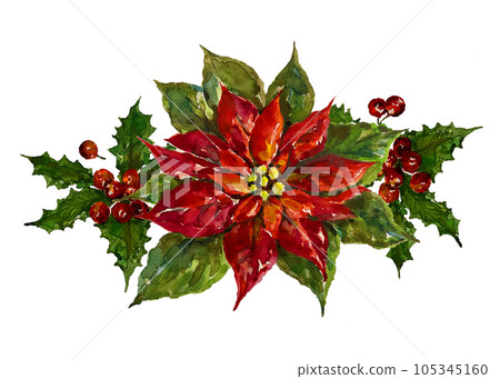 一品紅和冬青裝飾 一品紅和冬青裝飾 105345160