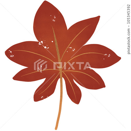 Leaves and flowers Leaves and flowers 105345392