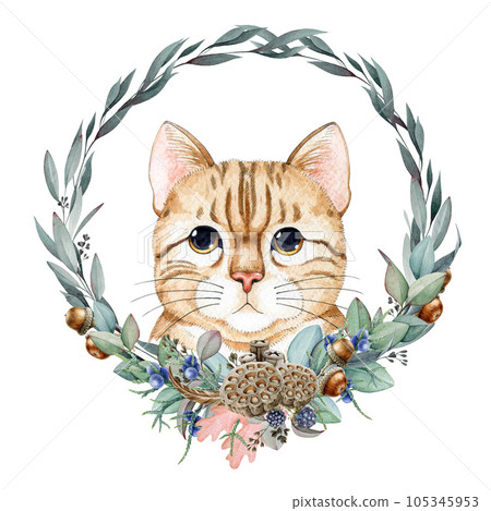 Cute funny cat with winter season floral decor wreath. Watercolor painted illustration. Funny kitty with winter festive decoration floral element. Cute kitty wreath decoration. White background Cute funny cat with winter season floral decor wreath. Watercolor painted illustration. Funny kitty with winter festive decoration floral element. Cute kitty wreath decoration. White background 105345953